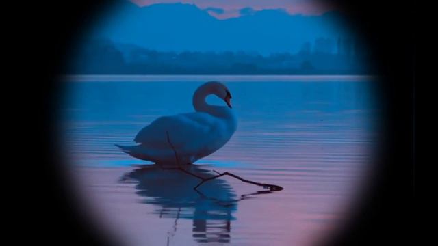 The Best Selling Monocular Telescope on Amazon by PankooMonocular смотреть онлайн