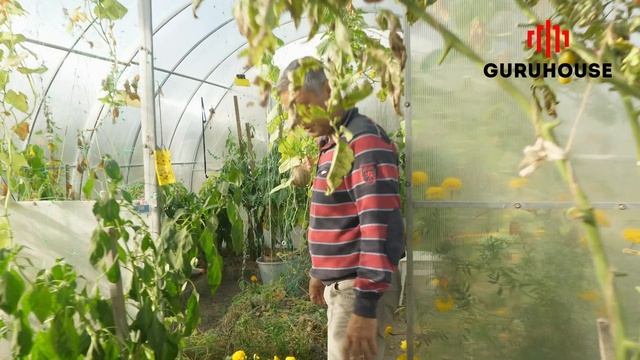 Видео-отзыв владельца Владимира Липа | Работа «GURUHOUSE» смотреть онлайн
