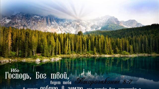О Помилуй Меня Боже смотреть онлайн