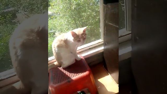 поздравим НАТАШЕНЬКУ с днюхой смотреть онлайн