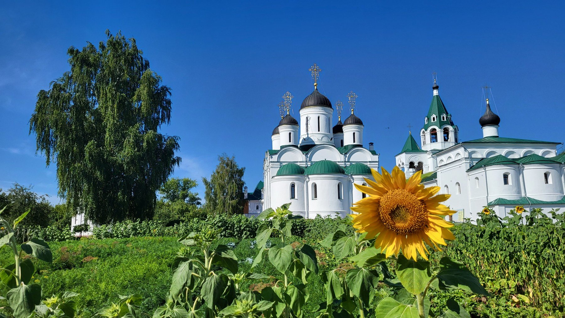 202208 Россия Муром смотреть онлайн