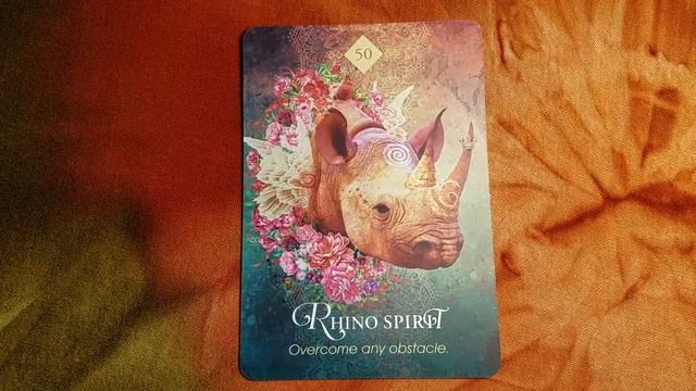 R-The Spirit Animal Oracle card meanings смотреть онлайн