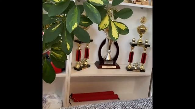 Одежда для кошки собаки ,за 2 минуты, быстро и хорошо смотреть онлайн