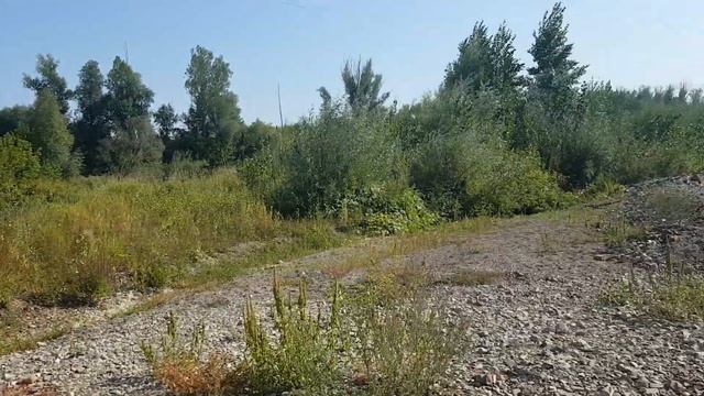 заашкадарье велек 26 08 2021 6 смотреть онлайн