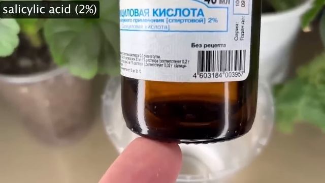 Капаю под любую рассада и даже дохлая растет мощным, здоровым крепышом! Природное средство. смотреть онлайн