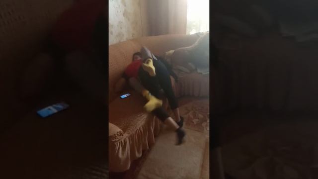 Спаривание двух сурикатов смотреть онлайн