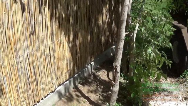 экологический забор из камыша (мини) смотреть онлайн