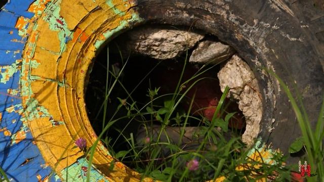 Эстетично и экологично. Двор детского сада пос. Земцы похож на ожившую сказку смотреть онлайн