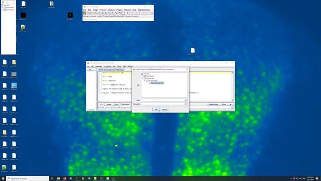 Big Tiff in FIJI - Java Heap Space смотреть онлайн
