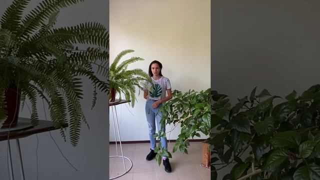 Медведева Алина смотреть онлайн