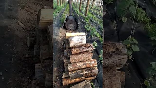 Буржуйка сколько жрёт дров? смотреть онлайн