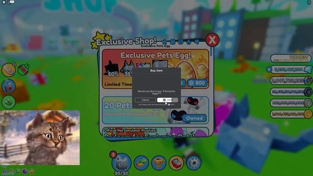 How Many Huge Gargoyle Pets Can We Hatch With $200,000 Robux?! Roblox Pet Simulator X смотреть онлайн