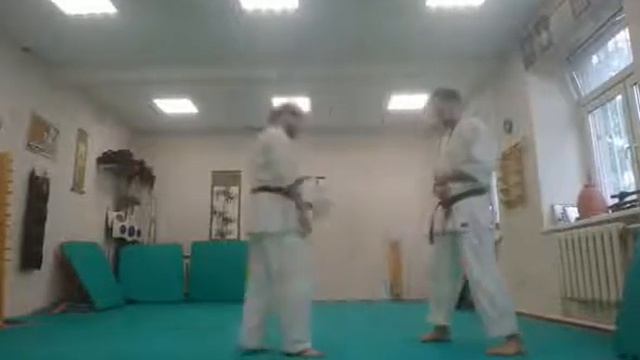 2021 06 05 European Webinar Goju-Ryu смотреть онлайн