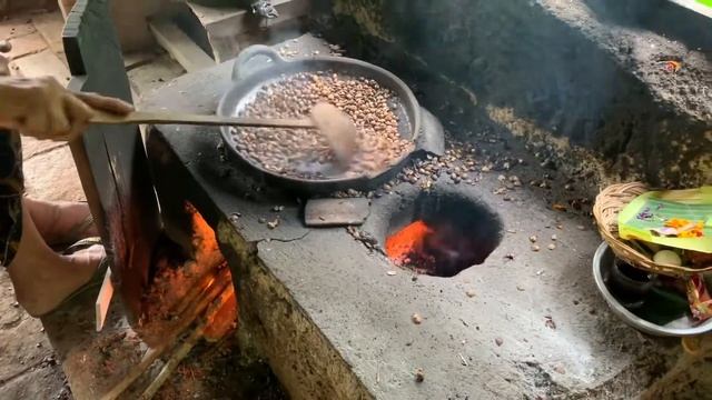 Кофейная плантация на Бали и дегустация кофе Лувак смотреть онлайн