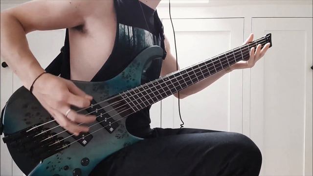 ARCHITECTS - THESE COLOURS DON'T RUN : BASS COVER смотреть онлайн