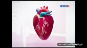 ЛЕГО ДАНИЛ И ЕГО ДРУЗЬЯ АТЕРОКЛЕФИТ ЭВАЛАР ЭВОЛЮЦИЯ 30 ЛЕТ И РЕКЛАМЕ 18 ЛЕТ 1991 ГОД И 2022 ГОД