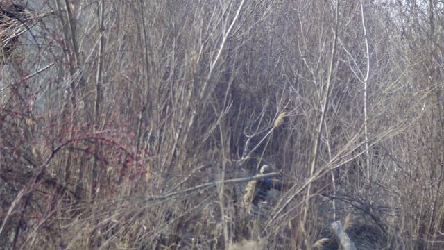 Bad shooter, lucky player #2 | Sunday Battleground Airsoft Sicomed смотреть онлайн