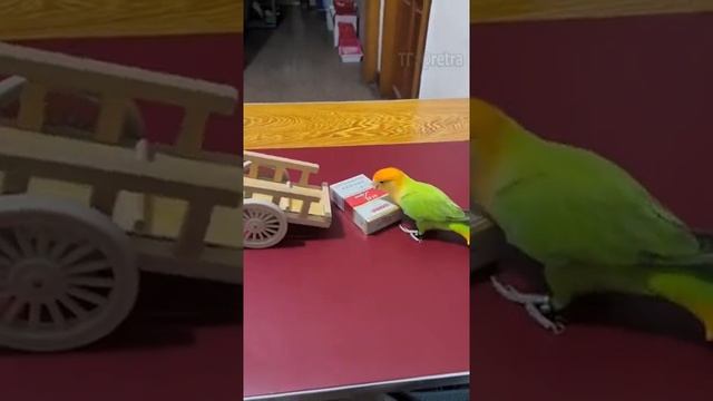настоящий друг смотреть онлайн