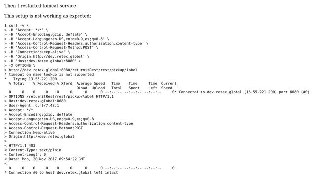 DevOps & SysAdmins: Enable CORS in Tomcat смотреть онлайн