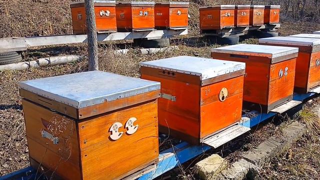 Пригород Харькова. Потихоньку Летаем.28.02.2024 смотреть онлайн