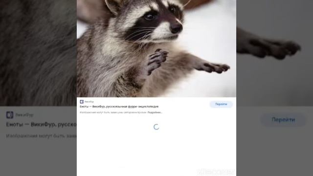 имена фурри енотов смотреть онлайн