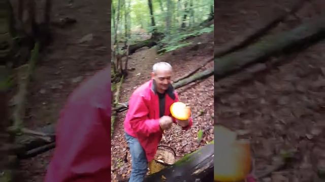 Amanitas & Amanito parte 2 смотреть онлайн