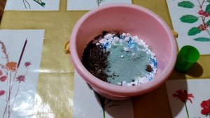 Как из чего приготовить замазку для лечения плодовых деревьев.