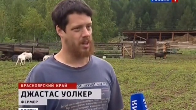 Веселый фермер