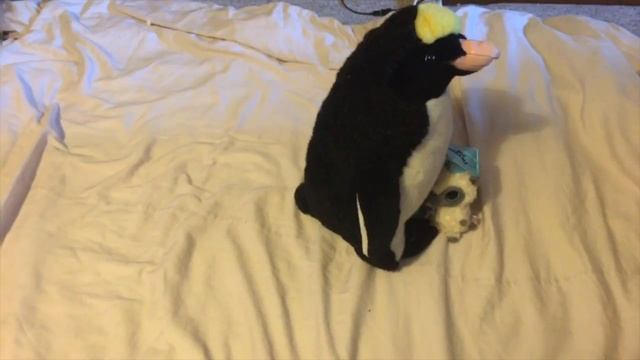 My March of the Penguins with Title Card смотреть онлайн