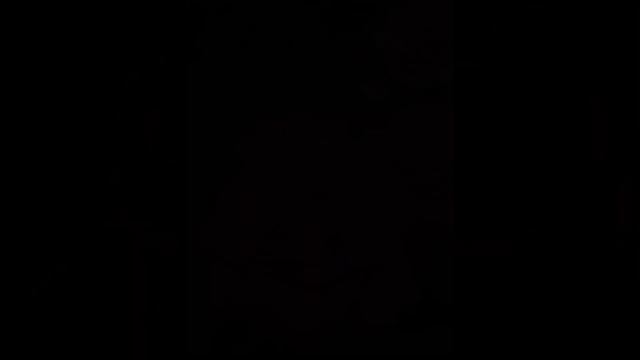 Моя роза Miss Piggy. смотреть онлайн