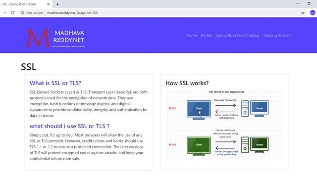 09 Spring Boot tutorial | What Is SSL |what is TLS смотреть онлайн