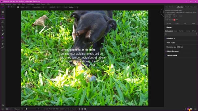 Erster Blick auf "ON1 Photo RAW 2024" || Eine völlig neue Erfahrung смотреть онлайн