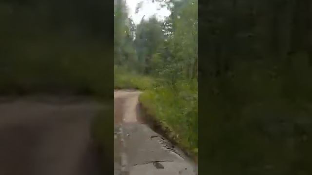 Заброска на Каракольские озера смотреть онлайн