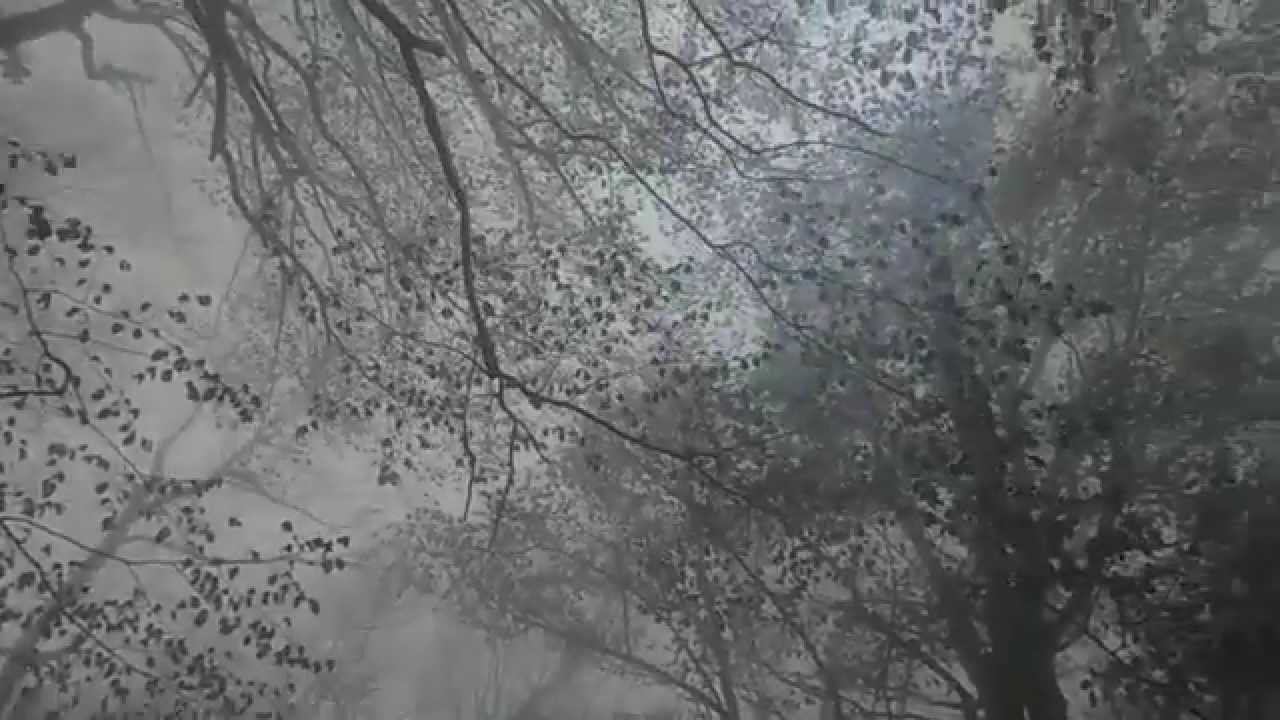 Deadly fog in the mountains смотреть онлайн