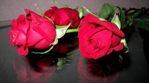 ХИТ МИЛЛИОННИК YOUTUBE - ТРИ КРАСНЫХ РОЗЫ - ИСП. ГР. СЕНАТОР