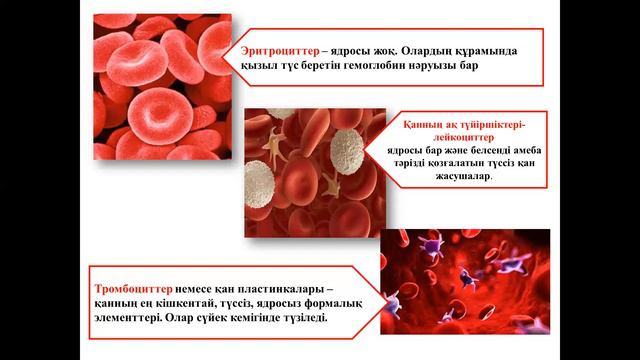 27 ноября 2020 г. смотреть онлайн