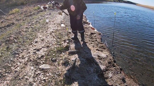 Рыбачим на реке Таналык. Супер улов и супер отдых. смотреть онлайн
