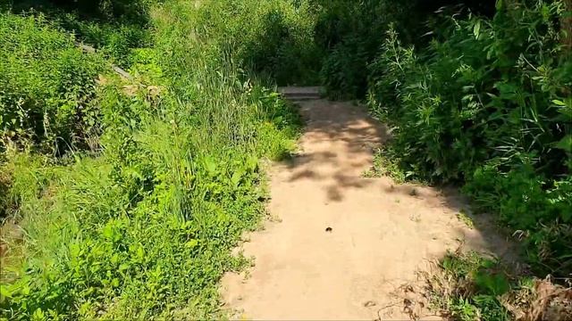 Дочь поет А капелла "Дом под крышей голубой" смотреть онлайн