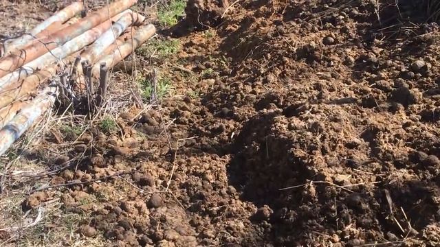 БУДНИ ФЕРМЕРА! ЧТО С НОВОЙ ПАРТИЕЙ ЦЫПЛЯТ! ЖИЗНЬ ПРОСТЫХ ЛЮДЕЙ В ДЕРЕВНЕ. смотреть онлайн