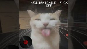 плейлист песен ру репа | тикток песни