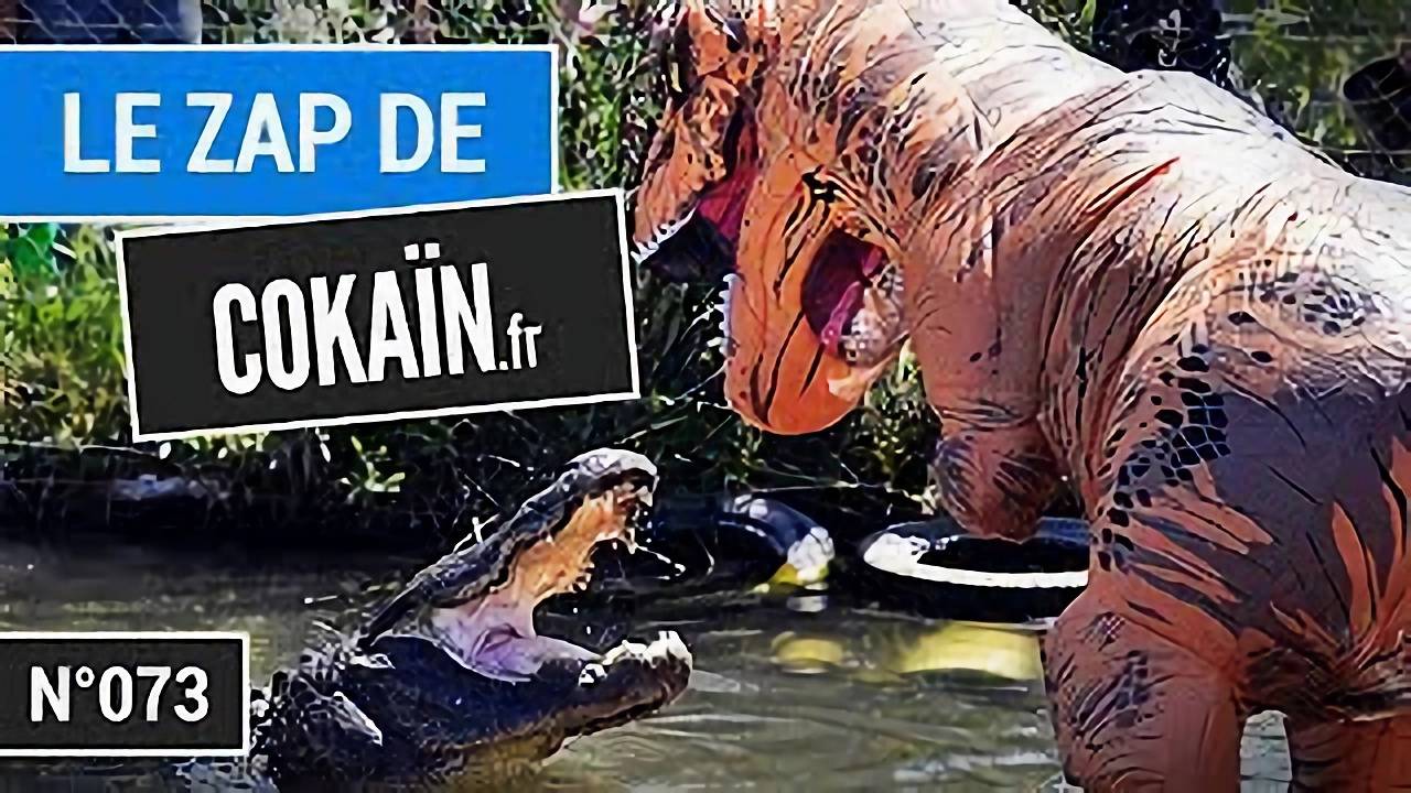 Le Zap De Cokaïn.fr N°073