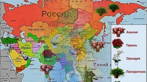 Посланцы разных стран и континентов