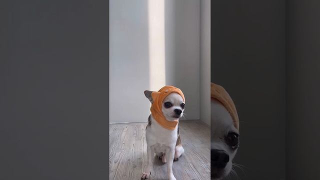 Какой наряд лучше? смотреть онлайн