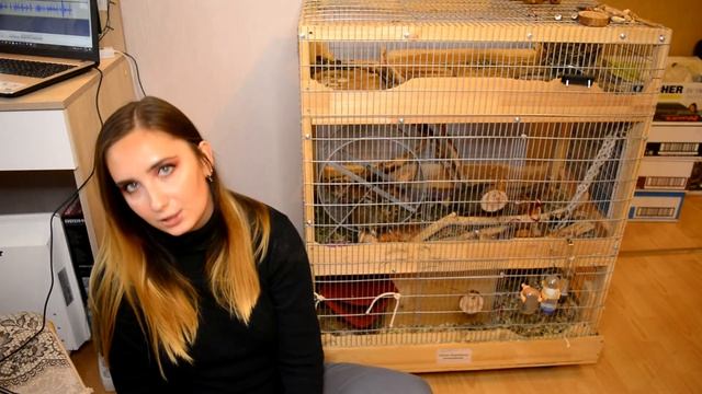 2 Года С Дегу/ Мои Впечатления / Что новенького смотреть онлайн