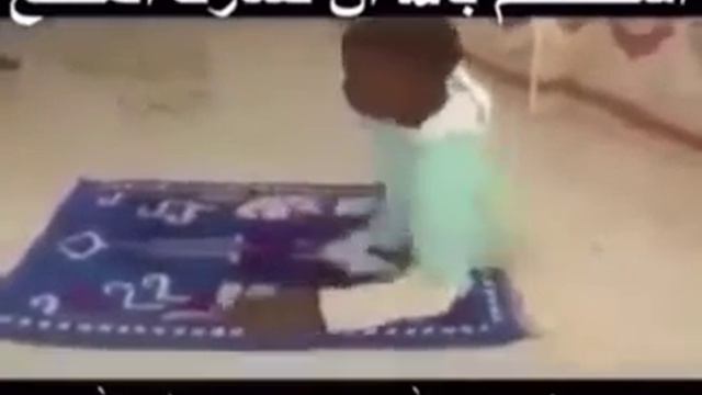 Молить человек без ног шое!!! смотреть онлайн