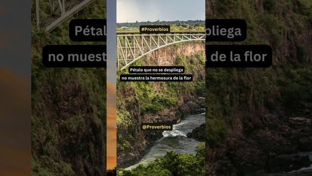 #Proverbios Sabios: Enseñanzas para la Vida. Pétalo que no se despliega, no muestra la hermosura de смотреть онлайн