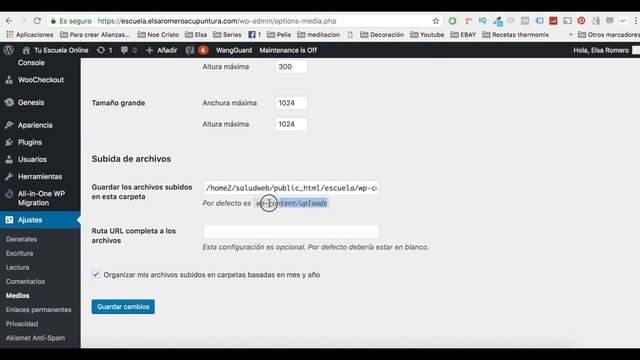 Corregir error de permisos al subir imágenes Wordpress смотреть онлайн