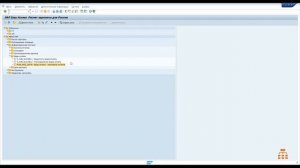 САП для начинающих. Как найти вид оплаты при перерасчете заработной платы