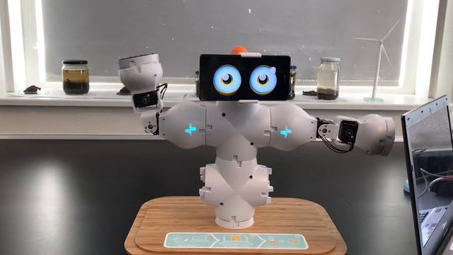 Fable social Robot смотреть онлайн