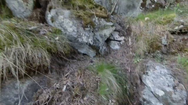 КАРЕЛИЯ! Жизнь на острове... смотреть онлайн